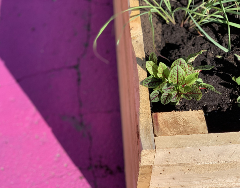 inaugurationplacette